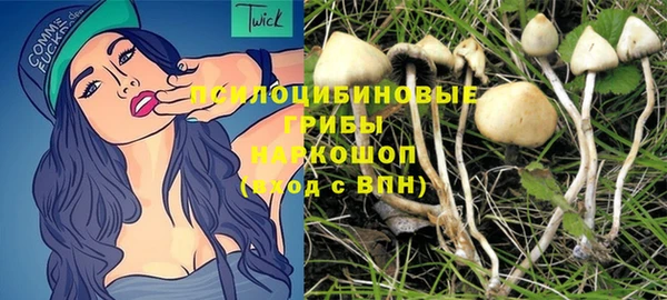 apvp Волоколамск